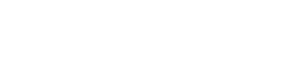 NUEVAVIZCAYA LOGO SITIO WEB